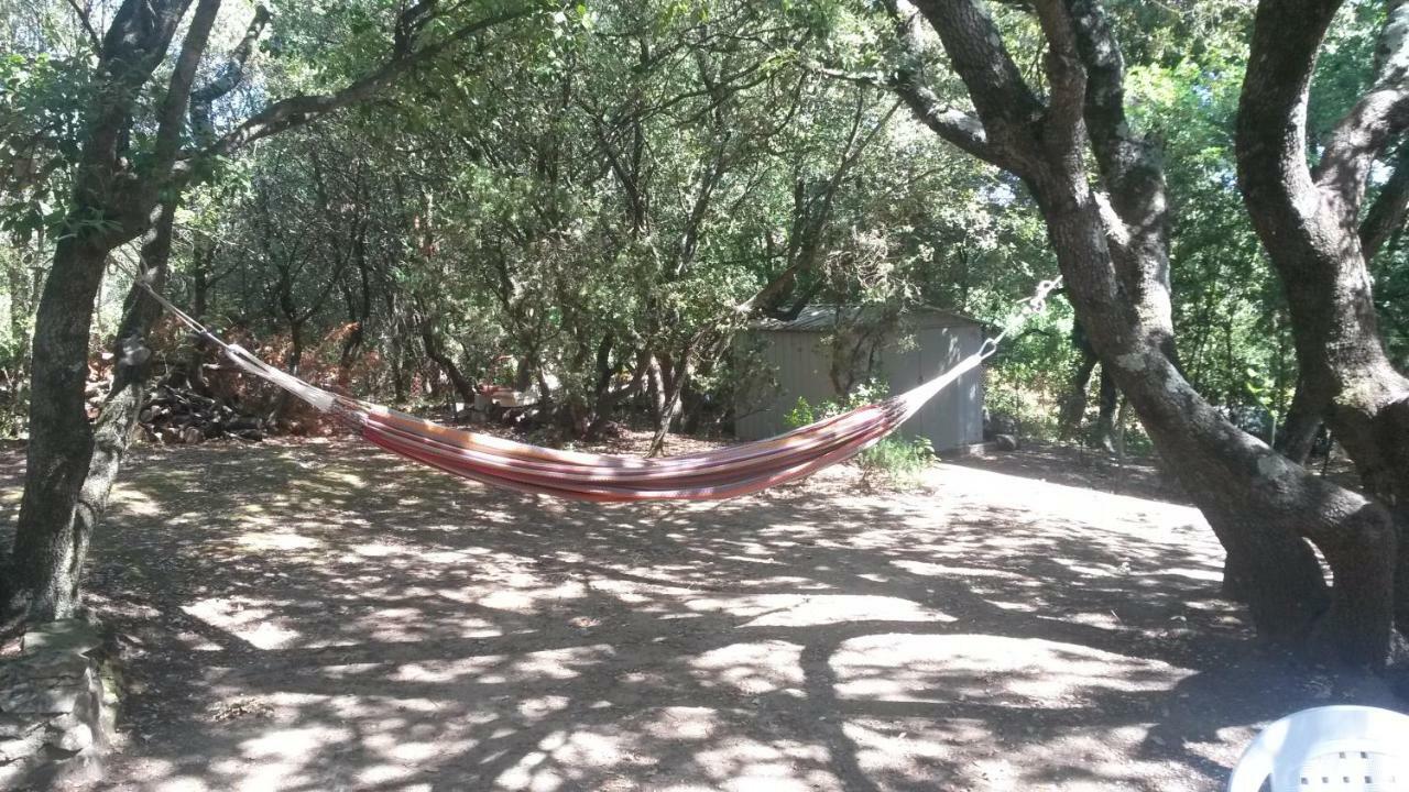 La Casita Villa Avec Piscine Pres D'Uzes Saint-Laurent-la-Vernède Buitenkant foto